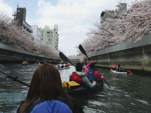 Tokyo Travel Guide  Tokyo Tourism - KAYAK